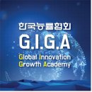 G.I.G