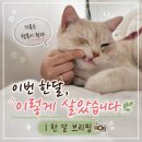 애드컨택 | 이번 한달, 이렇게 살았습니다🌿 | 한 달 브리핑📸
