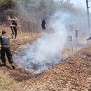 대사농장 이미지