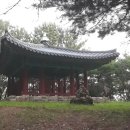 봉산 사과나무길 이미지