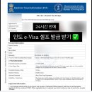 VISA24 | 24시간 만에 받은 인도 e-Visa 셀프 발급 성공 후기! 🇮🇳