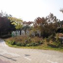 도시숲(석남녹지도시숲) 이미지