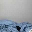 아진동물병원 이미지