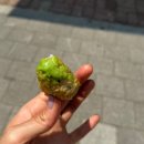 포이김밥초밥