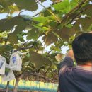 재우농장 이미지