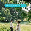 태랑 - 순천시 | W4. 서울 야외 웨딩스냅 추천! 태랑스냅 내돈내산 후기 | 올림픽공원/해방촌/서래섬 한강공원