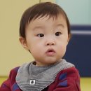 조유하