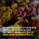 문화꽃화원 이미지