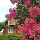 난드르 통나무집 이미지