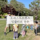 포레스트 프렌즈 잉글리쉬 전주 유아 영어 숲체험