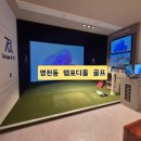 동탄 영천동 스크린 골프 레슨, 연습장 추천 - 템포디올 골프