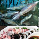 내도바당 이미지