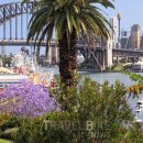 (주)동주항공여행사 이미지