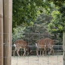 성동구립성수도서관(성수문화복지회관) 이미지