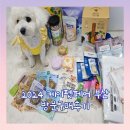 멍잇츄 | 2024 케이펫페어 부산, 부산펫페어 주말 방문 구매 후기