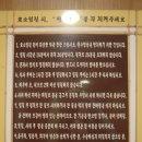 체온업뷰티