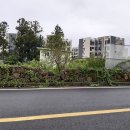 색달동-2 이미지