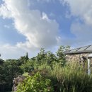 낭낭쓰 협재다랑 이미지