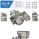 모아엘가 A 이미지