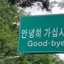 헤어작공 | (26년 아님ㅎ) 25년 막달의 '웹툰' 독서 기록