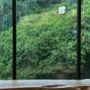 숲카페 - 수성구 | 숲카페