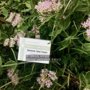 대주메디칼 이미지