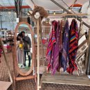 창수목장 이미지