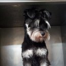 전병준동물병원 이미지