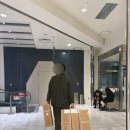 4737 | [싸이벡스 레모] 나고야 태교여행 blossom39 일본 직구 후기(꿀팁/구매과정/가격/크기/무게 공유!)