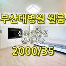 토성세영엘리츠 이미지
