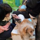 해피그루밍 | 2살 아기와 천안 해피애니멀