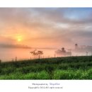 영원목장 이미지