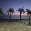 비치캐슬 이미지