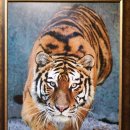 백두산 범 이미지