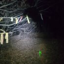 구영자리 이미지