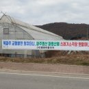 평화마을 이미지