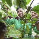 남일전자 이미지