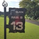 개미골프 연습장 이미지