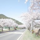 웅천 소류지 이미지