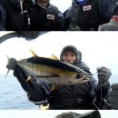 블루마린 이미지