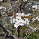 돌다리 농장 이미지