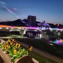 부대찌개애 반햇소 이미지