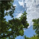 대공원역2번출구 이미지