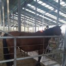 한마음목장 이미지