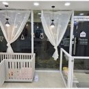 댕댕이 그루밍 이미지