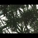 POINT - 正, 이미지