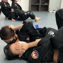 특무관 합기도 이미지