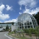 광릉수목원로 이미지