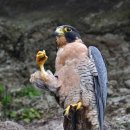 매현중학교 이미지