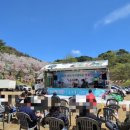 부귀리벗꽃 이미지